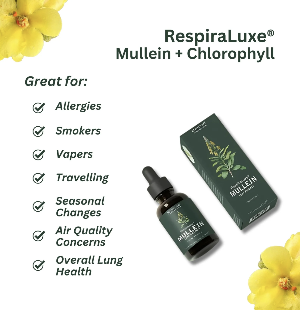 Mullein + Chlorophyll Extract