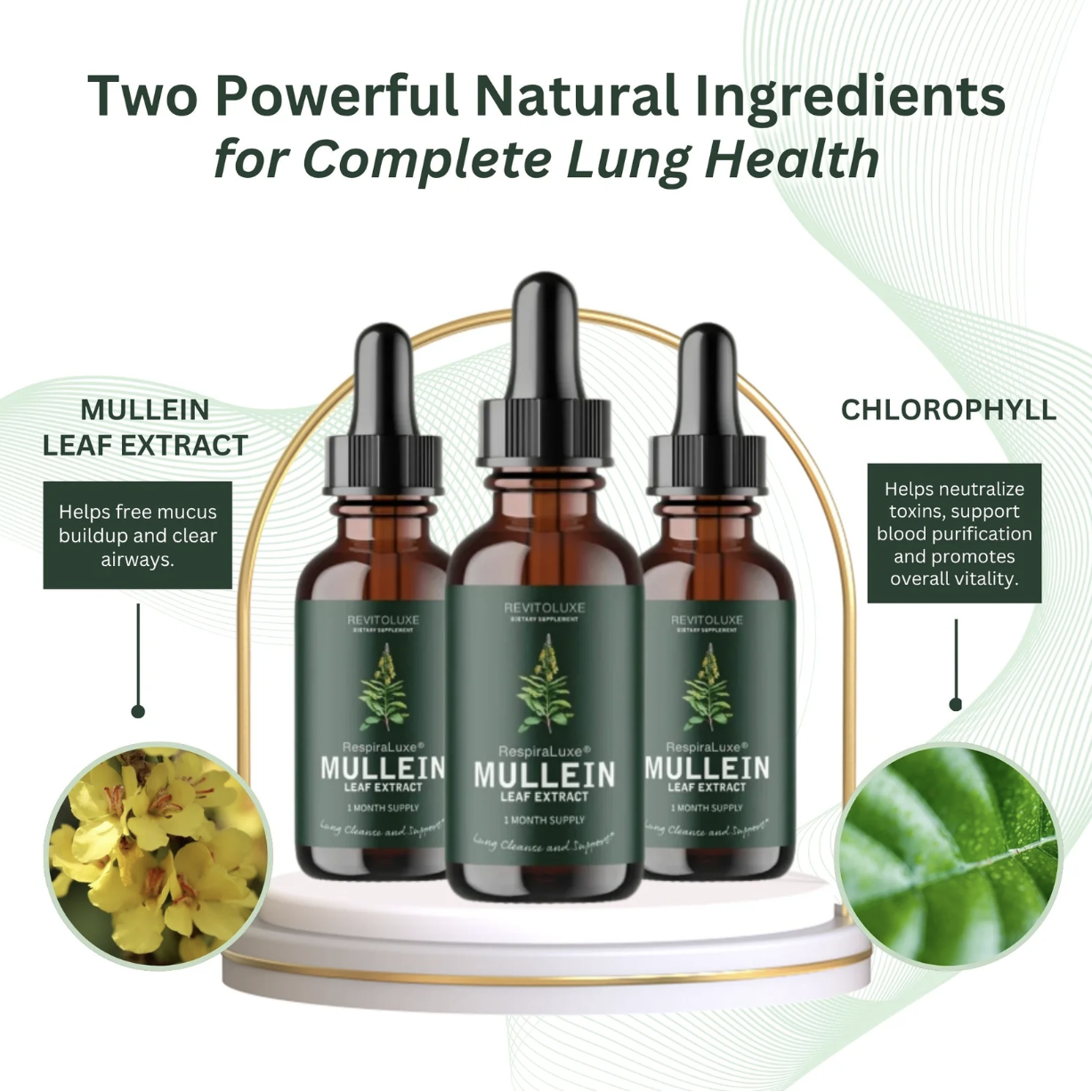 Mullein + Chlorophyll Extract
